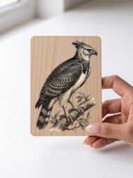 Harpy Eagle Art Print - Vintage Rainforest Bird Of Prey Pine Wooden Postcard Wall - thumbnail 1