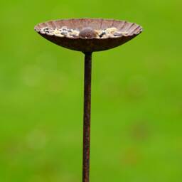 Daisy Bird Feeder - Feeding Station Rusty Garden Gift - thumbnail 2