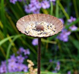 Daisy Bird Feeder - Feeding Station Rusty Garden Gift