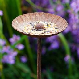Daisy Bird Feeder - Feeding Station Rusty Garden Gift - thumbnail 4