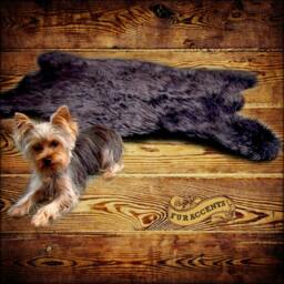 Black Bear Shape Faux Fur Rug - Shaggy Sheepskin Pelt - thumbnail 2