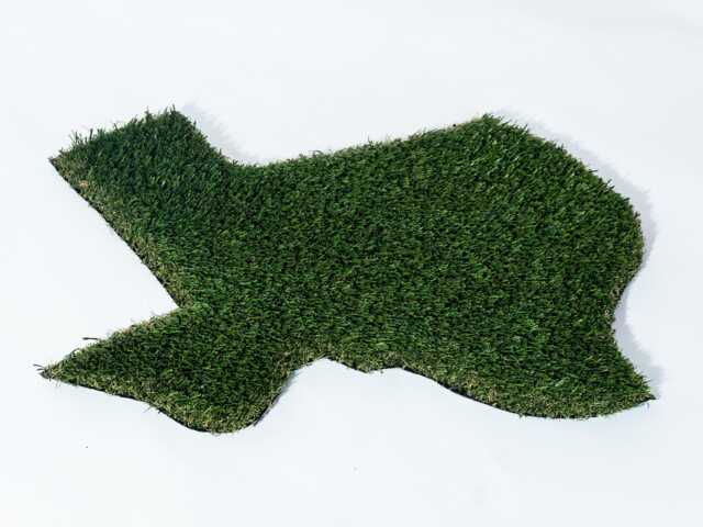 Texas Synthetic Grass Doormat - Rug Wall Art Decor - image 1