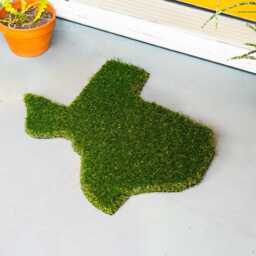 Texas Synthetic Grass Doormat - Rug Wall Art Decor - thumbnail 3