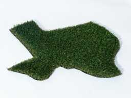 Texas Synthetic Grass Doormat - Rug Wall Art Decor
