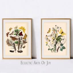 Butterfly & Moth Art Prints Botanical Illustration, Bedroom Wall Decor - thumbnail 2