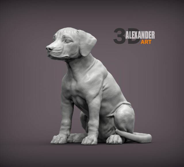 3D Printed Rhodesian Ridgeback Puppy Figurine Home Decor, Dog Memorial - image 1