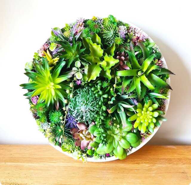 Round Faux Succulent 3D Wall Art Modern Framed Realistic Plant Decor Home Or Business - image 1