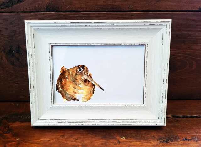 Woodcock Print 17x12cm - White Rustic Frame - Woodland Bird Wall Art, Gift For Nature Lovers - image 1