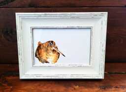 Woodcock Print 17x12cm - White Rustic Frame - Woodland Bird Wall Art, Gift For Nature Lovers