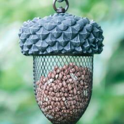 Hand Forged Bee S Hook With Acorn Bird Feeder - thumbnail 4