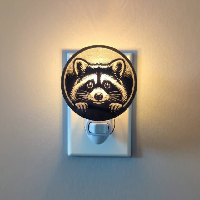 Peeking Raccoon Mirrored Acrylic Night Light - image 1