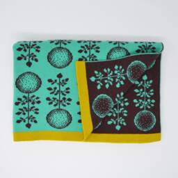 Extra Soft Lambswool Baby in Brown, Mint Green, Children Blankets - thumbnail 1