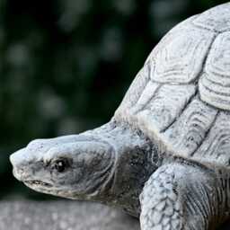 Concrete Turtle Statue Outdoor Reptile Sculpture Cement Animal Figurine Stone Decoration Handmade Ornament Lover Gift Yard Art - thumbnail 4