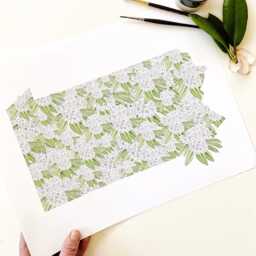 Pennsylvania State Flower Map Watercolor Mountain Laurel - Art Print Wall Graduation Wedding Realtor Moving Floral Mothers Day Gift - thumbnail 4