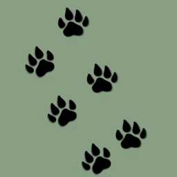 Wooden Lion Footprints- Set Of 6 - Personalised Sign Animal Footprints Safari Theme Decor- Wall Art- Footprint Decor - thumbnail 2