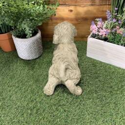 Stone Garden Detailed Happy Laying Shih Tzu Dog Gift Statue Ornament - thumbnail 3