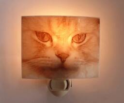 Cat Face Nightlight - thumbnail 1