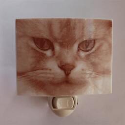 Cat Face Nightlight - thumbnail 2