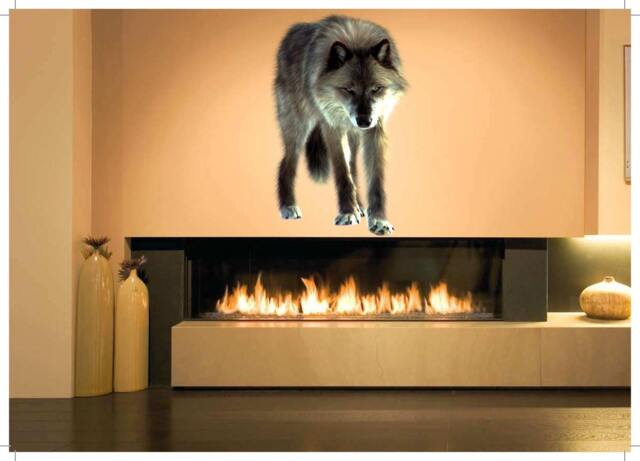 Wolf Full Color Decal, Color Sticker, Wall Art, Cn 077