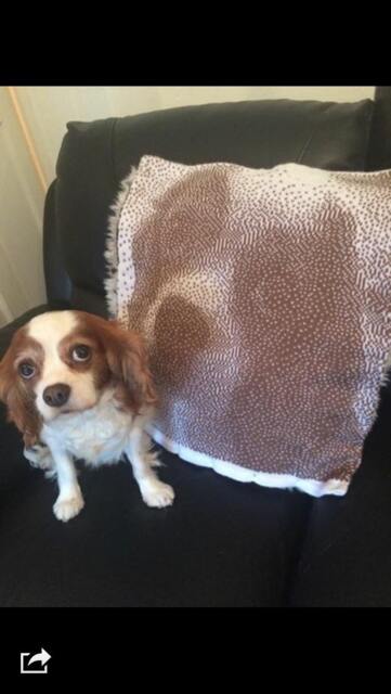 A Cushion Knitted From Your Favourite Photograph, Not Printed - image 1
