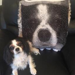 A Cushion Knitted From Your Favourite Photograph, Not Printed - thumbnail 2