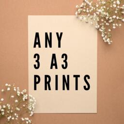 Any 3 A3 Prints Bundle Offer - Scots Scotland Gift For Scottish Home Slang Definition - thumbnail 1
