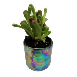 Small Planter - Succulent Indoor Plant Pot Black Lovers Gift Ceramic Flower Pot Iridescent - thumbnail 2