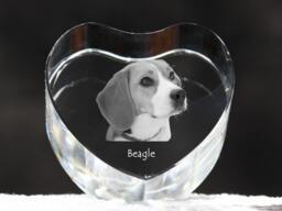 Beagle, Crystal Heart With Dog, Souvenir, Decoration, Limited Edition, Collection - thumbnail 1