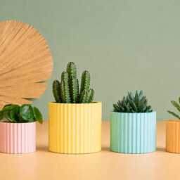 Planter Pot, 3D Printed Cactus, Succulent Planters , Mid Century Idea Gift For Home, Home Decor - thumbnail 2