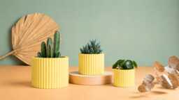 Planter Pot, 3D Printed Cactus, Succulent Planters , Mid Century Idea Gift For Home, Home Decor - thumbnail 1