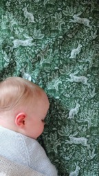 Woodland Crib Sheet Vintage Green Baby Bedding, Changing Pad Cover