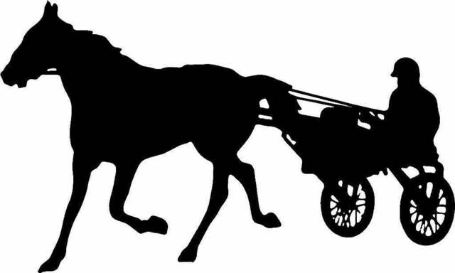 Horse Cart Race Racing Travellers Horsebox Decal Horses Car Van Bonnet Vinyl Side Sticker Graphic Window Door Sign Wall Art