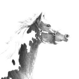 American Paint Wooden Stand For Candles/Pens With The Image Of A Horse New Collection - thumbnail 2