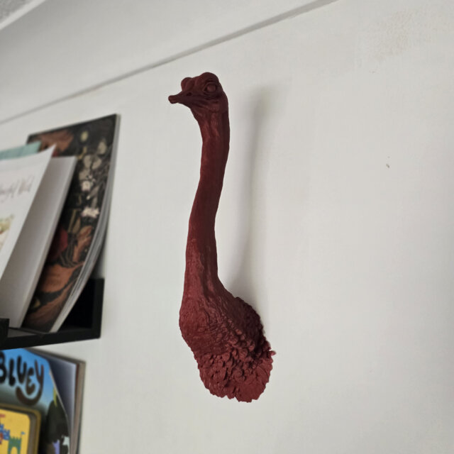 Ostrich Wall Mount - Animal Home Decor 3D Printed - image 1