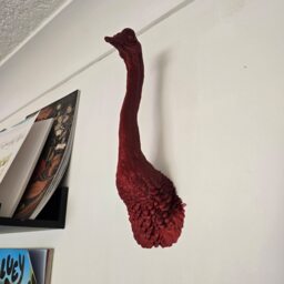 Ostrich Wall Mount - Animal Home Decor 3D Printed - thumbnail 3