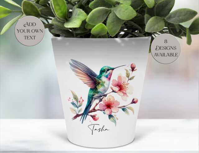 Personalised Hummingbird Plant Pot - Pen Holder - Brush Organizer Gift For Mum, Teacher, Bird Lover Ceramic Succulent Planter