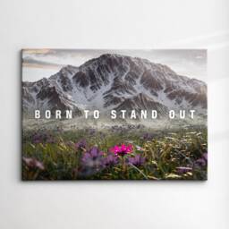 Born To Stand Out Quote Flower Mountain Motivational Inspirational, Framed Canvas Wall Art Poster Print, Home Office & Room Decor, Gift Idea - thumbnail 3