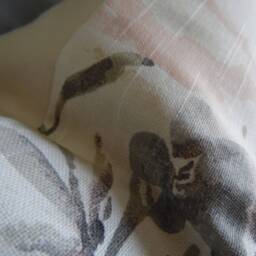 Exotic Bird Pillow Cover Floral Print Cotton Toss - thumbnail 3