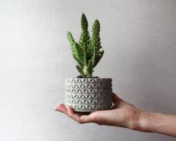 Geometrical Concrete Planter - Handmade Desk Organiser - thumbnail 1
