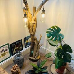 Driftwood Floor Lamp - thumbnail 2