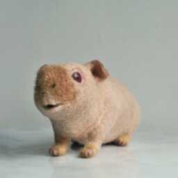 Needle Felted Skinny Pig, Handmade Hairless Guinea Custom Made Pet Sculpture - Will Be Made From Your Photos - thumbnail 3