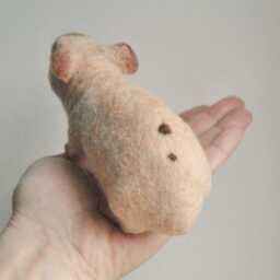 Needle Felted Skinny Pig, Handmade Hairless Guinea Custom Made Pet Sculpture - Will Be Made From Your Photos - thumbnail 2