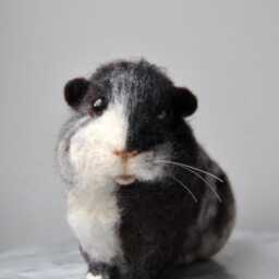 Needle Felted Skinny Pig, Handmade Hairless Guinea Custom Made Pet Sculpture - Will Be Made From Your Photos - thumbnail 4