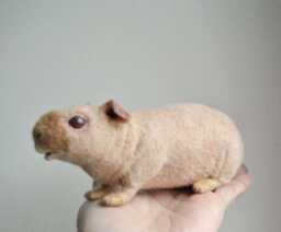 Needle Felted Skinny Pig, Handmade Hairless Guinea Custom Made Pet Sculpture - Will Be Made From Your Photos