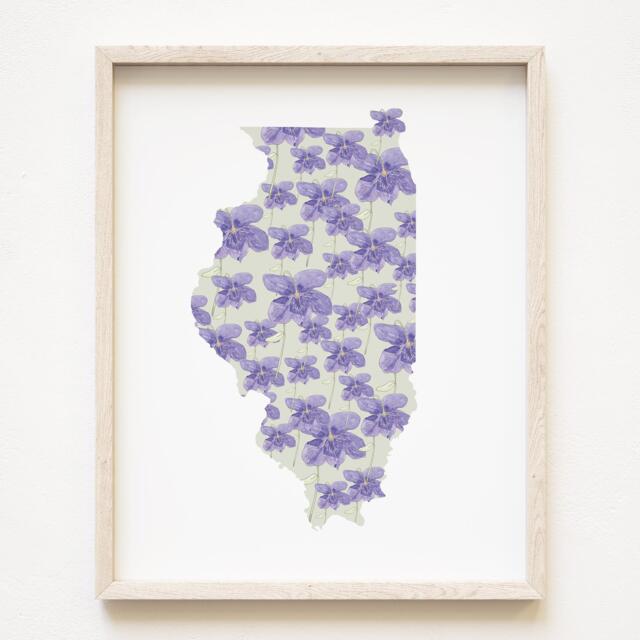 Illinois State Flower Map Watercolor Violet - Art Print Wall Uofi Graduation Wedding Anniversary Realtor Moving Gift Midwest Champaign - image 1