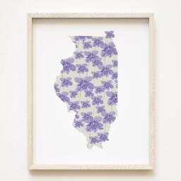 Illinois State Flower Map Watercolor Violet - Art Print Wall Uofi Graduation Wedding Anniversary Realtor Moving Gift Midwest Champaign - thumbnail 1