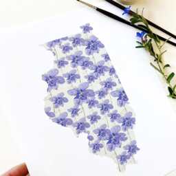 Illinois State Flower Map Watercolor Violet - Art Print Wall Uofi Graduation Wedding Anniversary Realtor Moving Gift Midwest Champaign - thumbnail 4