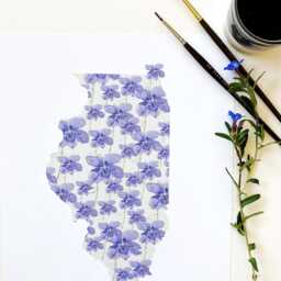 Illinois State Flower Map Watercolor Violet - Art Print Wall Uofi Graduation Wedding Anniversary Realtor Moving Gift Midwest Champaign - thumbnail 3