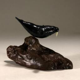 Walrus Sculpture By John Perry 6 Inch Long Ebonite Figurine On Burlwood Base - thumbnail 2