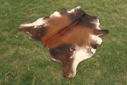 Tricolor Cowhide Rug Cow Skin Genuine Hide Floor - thumbnail 1